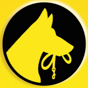 Tip Top K9 Arlington Dog Training