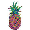 PoipuBeachCondo.com - Logo
