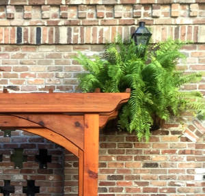 Outdoor Living Designs