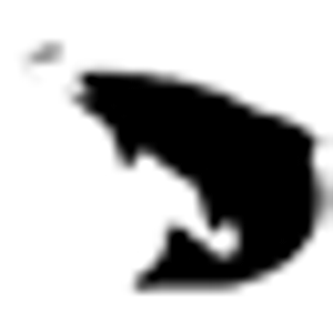 Western Rivers Flyfisher - Logo