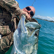 Sarasota Family Fishing Charters - Logo