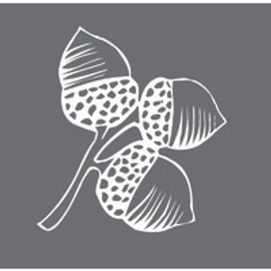 The Spa at Old Edwards - Logo