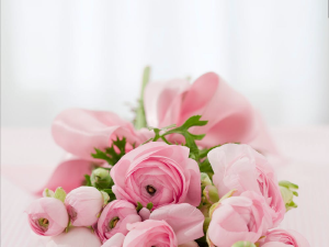 Floral Preservation Stl