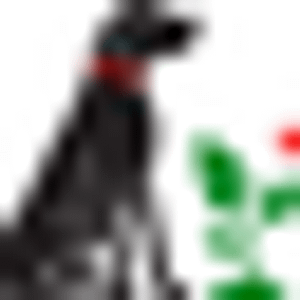 A Well Fed Pet - Logo