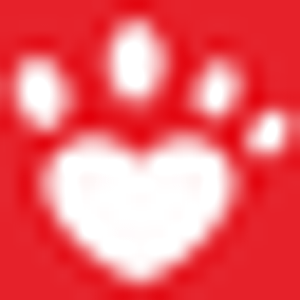 A Dog's Life: Dog Daycare +Training