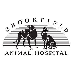 Brookfield Animal Hospital - Logo