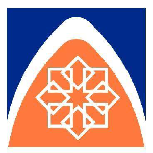 Taizo Hot Tub Movers - Logo