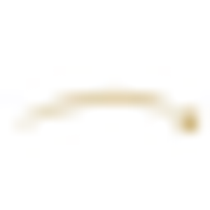 First Vision Mortgage - Logo