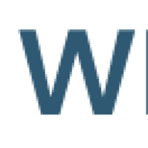 WiseGuys Moving - Logo