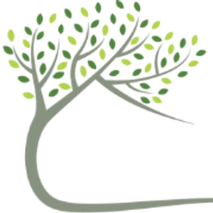 Treehouse Orthodontics - Logo