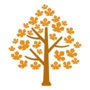 Acer Properties & Rentals - Logo