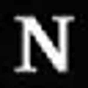 Newman Paving & Curbing Inc - Logo