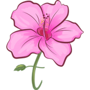 Smooth Skin Operator - Logo