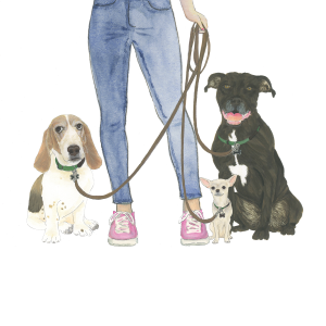 Sarah to the Rescue Pet Care - Logo