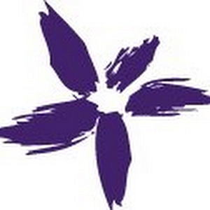 Dolce Aesthetics NY - Logo