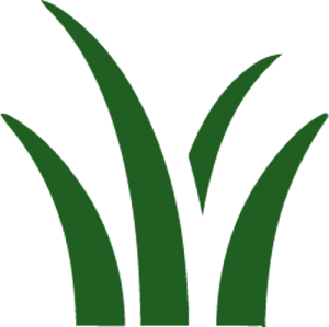 Southern Turf Co. Raleigh Artificial Grass