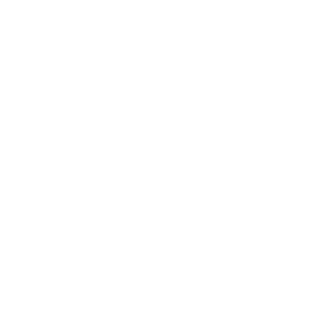 Soul Wild Marketing - Logo