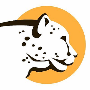 Cheetah Clean Auto Wash - Logo