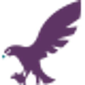Purple Hawk Marketing