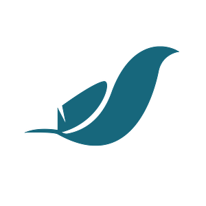 Bluebird Portraits