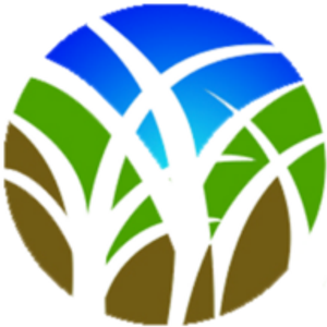 PMT Landscaping & Tree Services