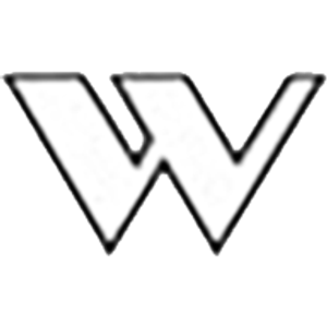 White Siding & Windows Co. - Logo