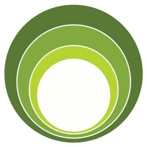 Legacy Inspection Group - Logo