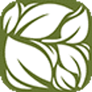 Stitts Tree Maintenance - Logo