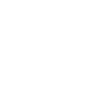 Platinum Cryo - Logo