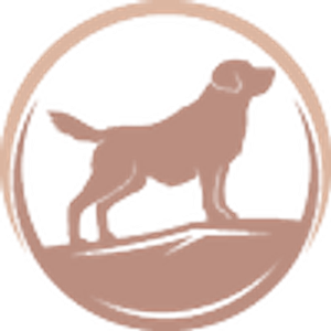 K-Nai Dog Training