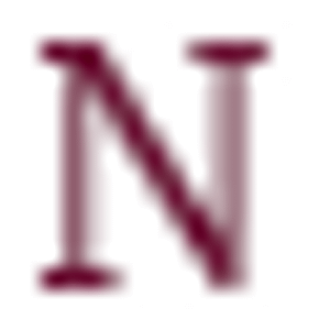 New York Excavation - Logo