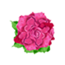 A Fantasy In Flowers