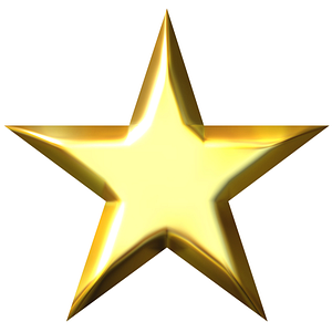 Day Star Motel at Wolf Lake - Logo