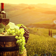 Wine Nation Tours - Logo