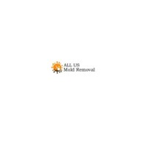 Balboa Inspection Services - Logo