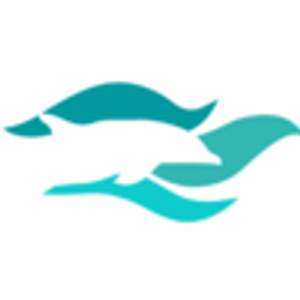 Paradise Boat Tours