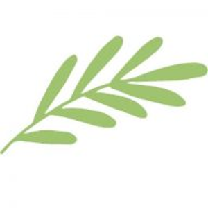 Rejuve Therapeutic Massage - Logo