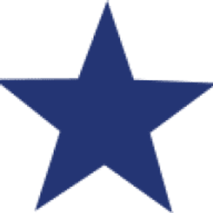 All Pro Property Inspections - Logo