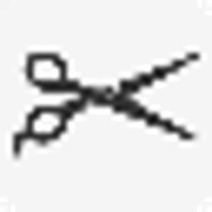 Persnickety Cleaners - Logo