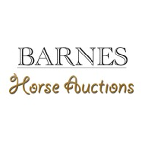 Barnes Auctions - Livestock auction house in Greeley