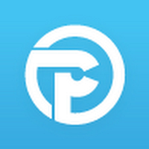 Paradox Customs - Logo