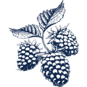 Blackberry Ridge - Logo