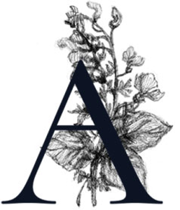 Avonne Photo Studios - Logo
