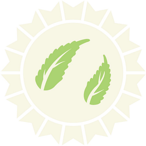 Anavii Market - Logo