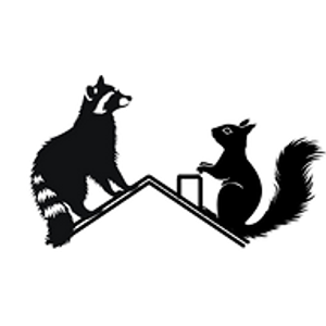 Bear's Wildlife Services