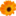 Downeast Flowers & Gifts, Inc. - Logo