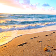 Life Coaching San Diego - Life coach in San Diego