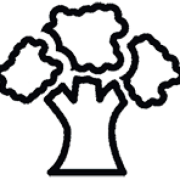Hickory Asphalt Paving - Logo