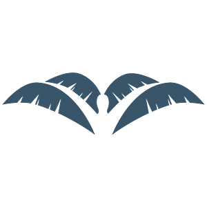 Sarah Bird, DNP - PALM Health - Logo