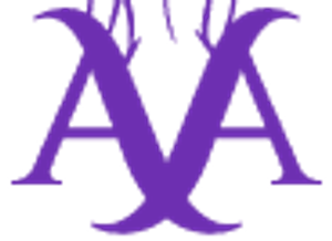 Aesthetic Artistry - Logo